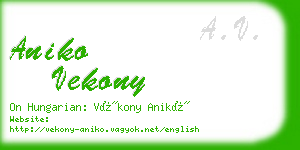 aniko vekony business card